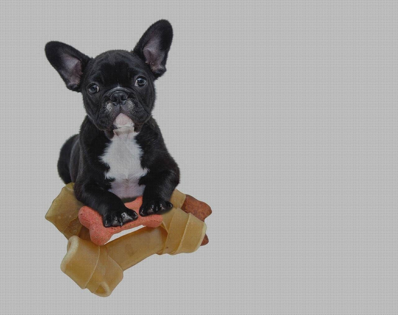 Review de cabeza de toro de plástico