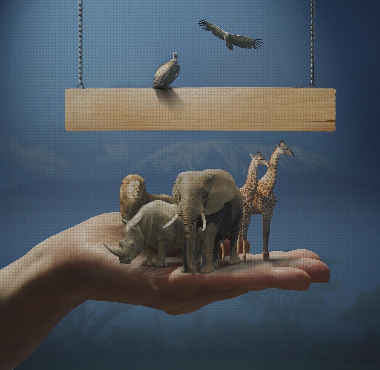 ¿Dónde poder comprar ataduras de plástico cadena grande de plástico?