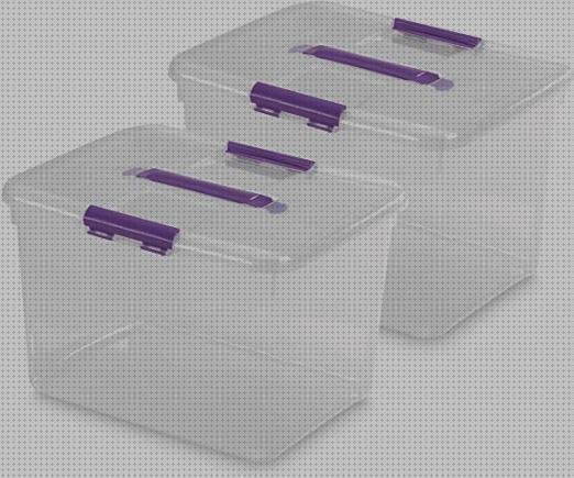 Análisis de las 17 mejores Caja De Plástico Con Tapa 15 Litros