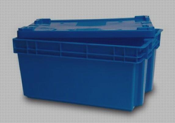 Review de caja de plástico con tapa 50 litros