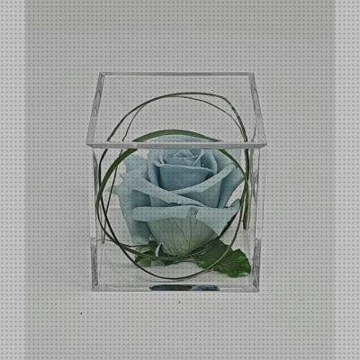 Las mejores marcas de caja metacrilato capsula cafe caja plastico metacrilato metacrilato caja metacrilato 70 cm