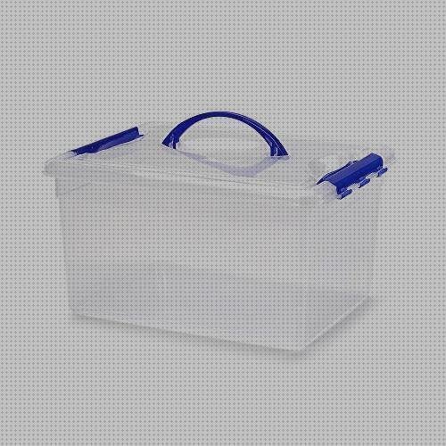 Las 31 Mejores Cajas De Plásticos Con Tapas Y Asas