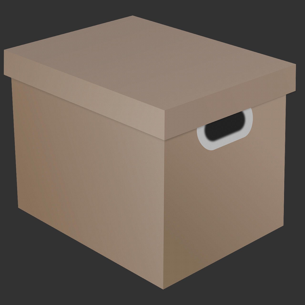 Review de cajas con tapa de plástico rectangulares