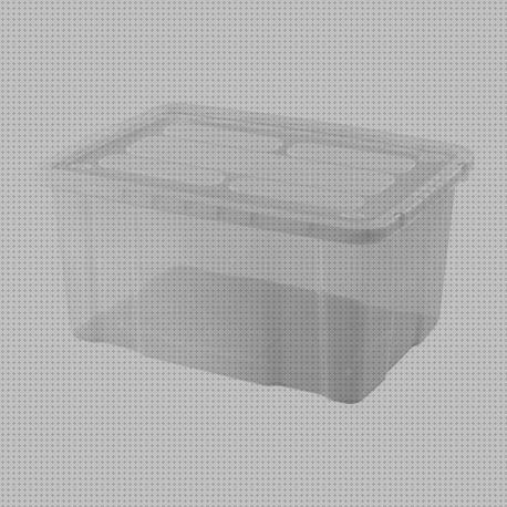 Las mejores 8 Cajas De Plásticos Grandes Con Tapas Baratas