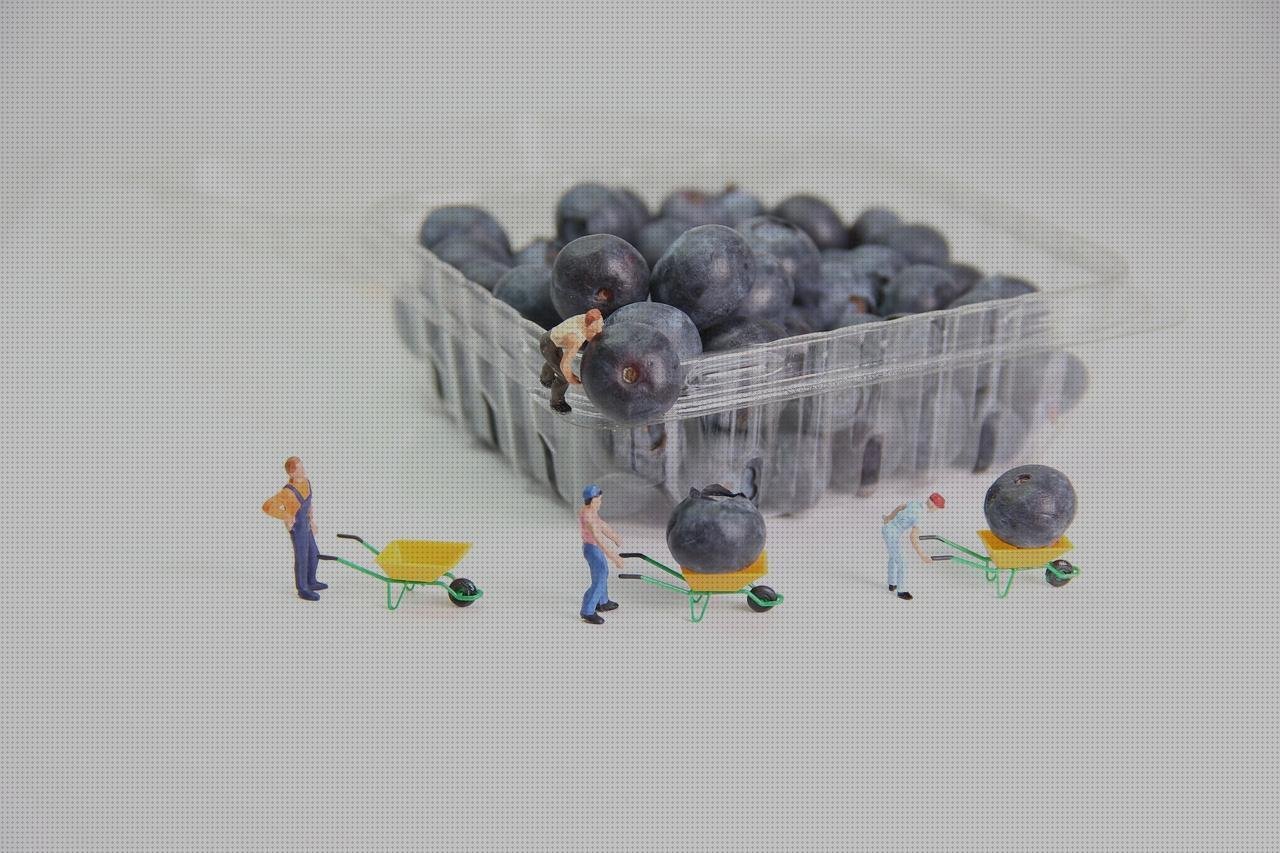 Análisis de las 31 mejores Cajas De Plásticos Pequeñas Con Separadores