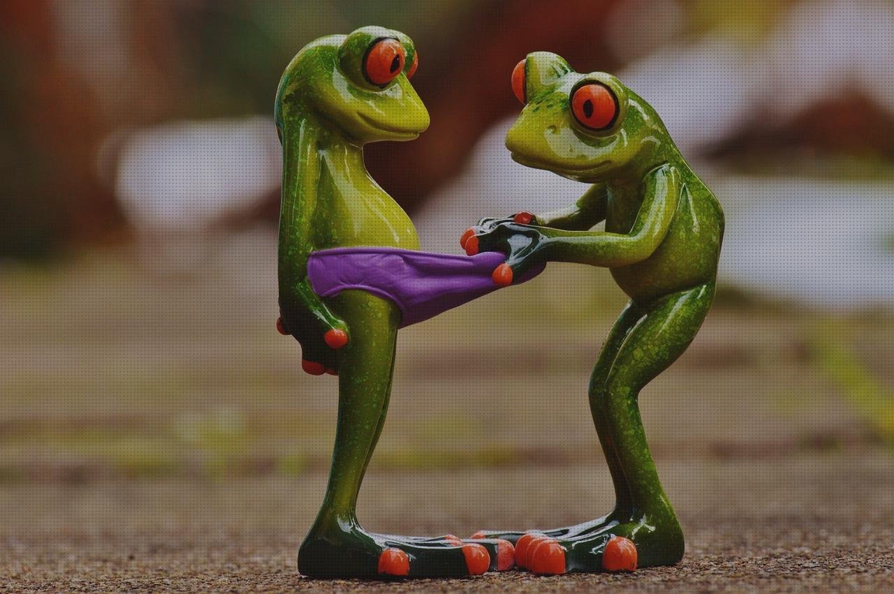 Análisis de los 0 mejores Calzoncillos Metacrilato