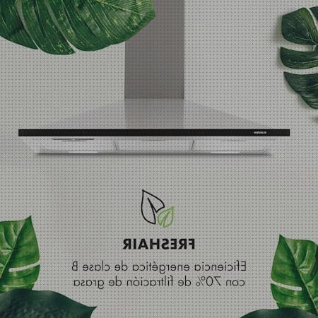 Las mejores marcas de metacrilato 2 cm ciervo de metacrilato bovedas metacrilato cubricion campana de metacrilato de 70 cm