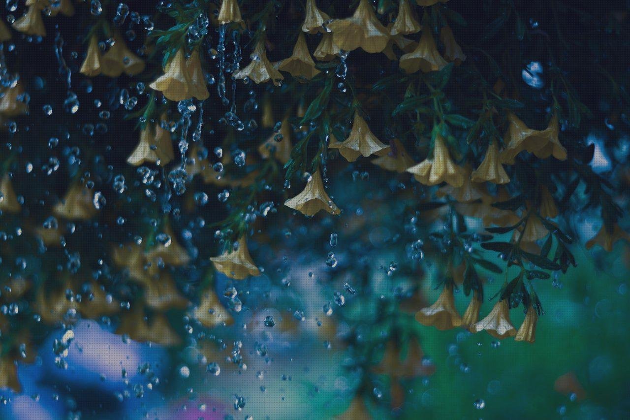 Las mejores recipiente plástico campanas navideñas con recipientes de plástico