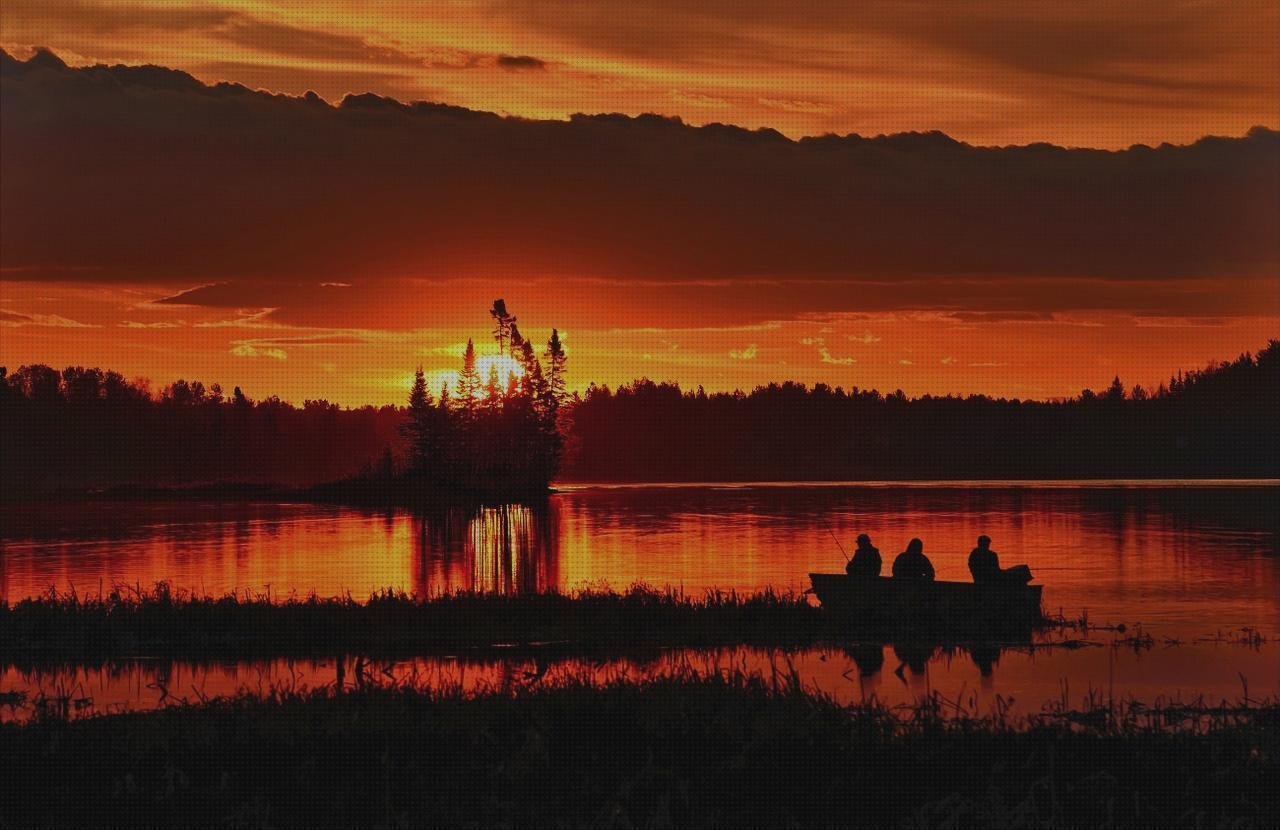 Review de caña pesca policarbonato