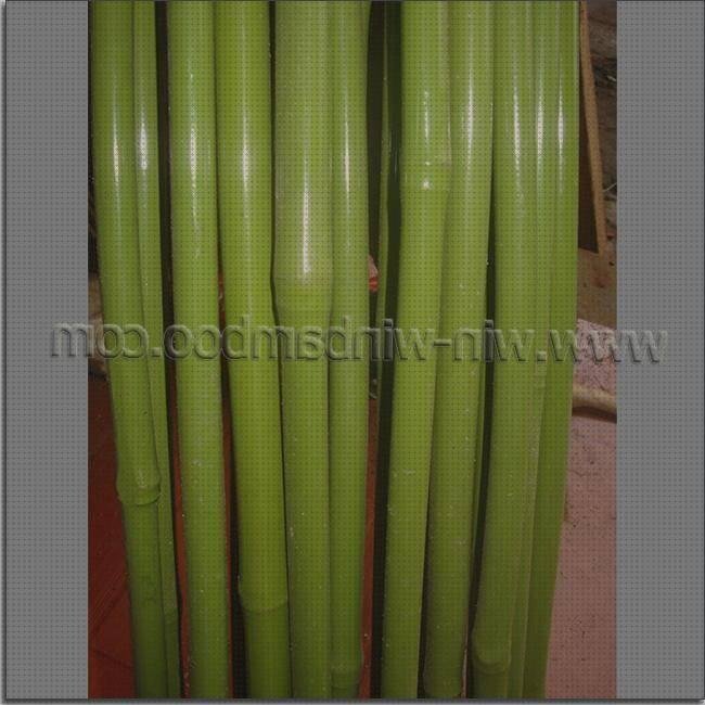 Opiniones de las 4 mejores Cañas De Bambu De Plásticos