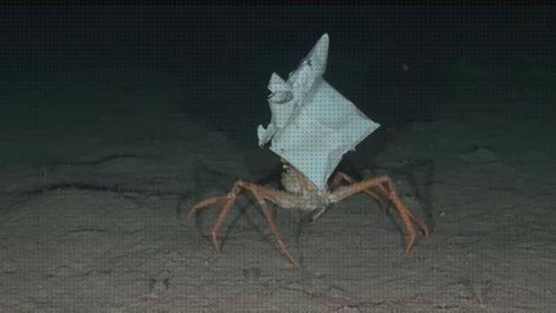 Opiniones de los 4 mejores Cangrejos De Plástico