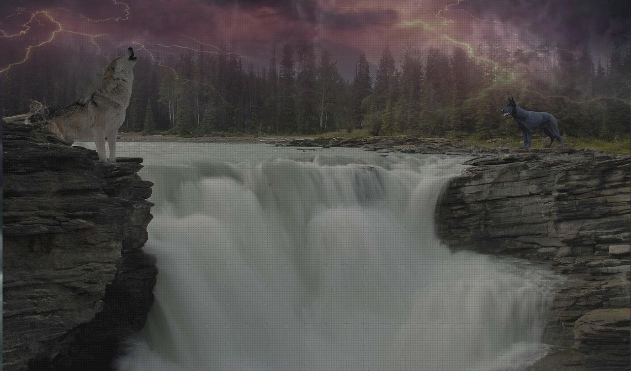 Review de canutillo plastico encuadernar