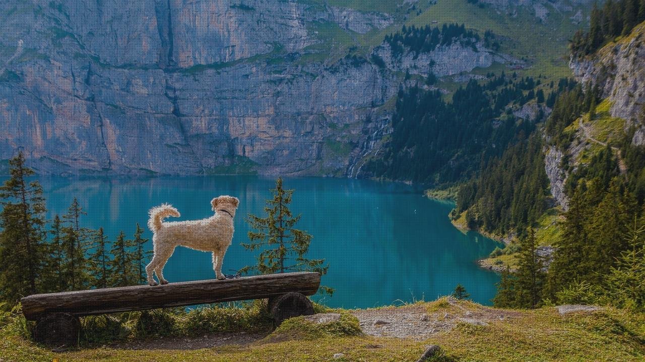 Las mejores marcas de capa de plastico silicona neutra ral 8011 blinkers pintura plastica ral 1013 capa de melamina