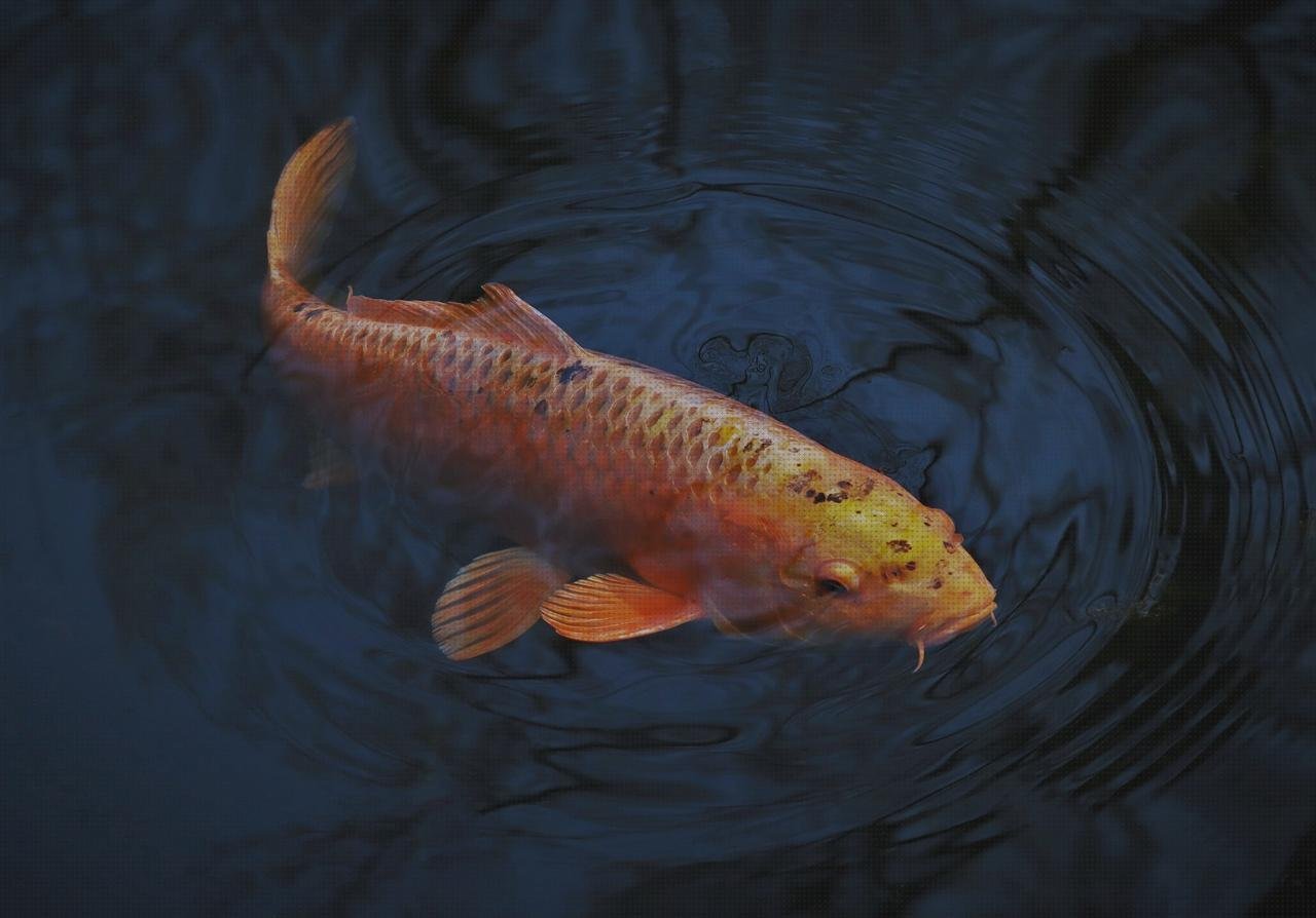 Las mejores marcas de carpa plástico silicona neutra ral 8011 blinkers pintura plastica ral 1013 carpa tejado policarbonato