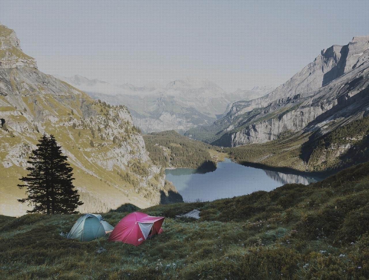 Review de carpa tejado policarbonato