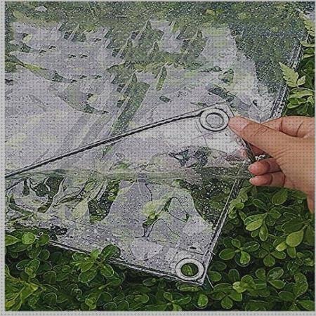 ¿Dónde poder comprar carpas carpas de plastico transparente?