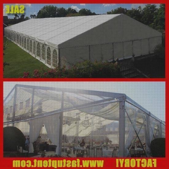 Las mejores carpas