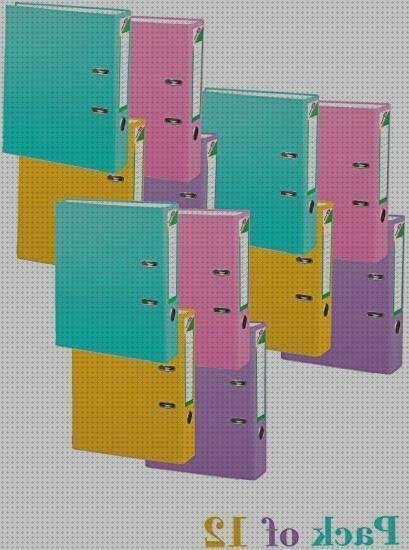 Las mejores carpetas carpeta de plastico con palanca