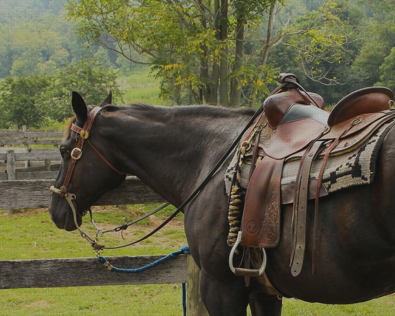 Las mejores marcas de carrillera silicona Más sobre colmenas de plástico Más sobre cama de silicona carrillera de silicona