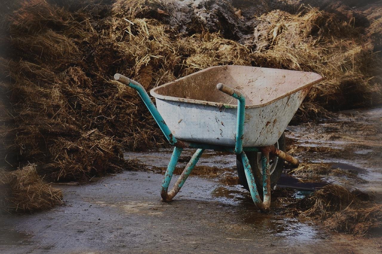 ¿Dónde poder comprar carritos plastico fachadas ventiladas de policarbonato fachada policarbonato carro herramientas de plastico?