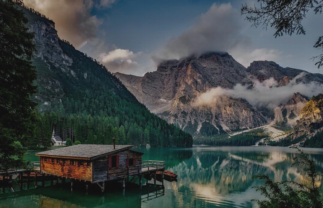 Opiniones de las 12 mejores Casa Metacrilato Gatos