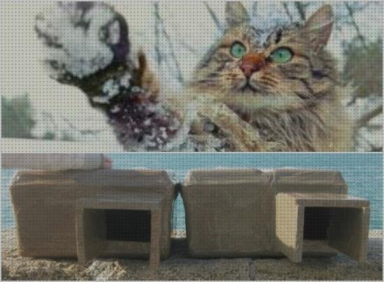 Las mejores caseta jardin plástico bol de silicona mini mat capacidad mini mesa de plástico casetas gato hechas con arcón de plástico