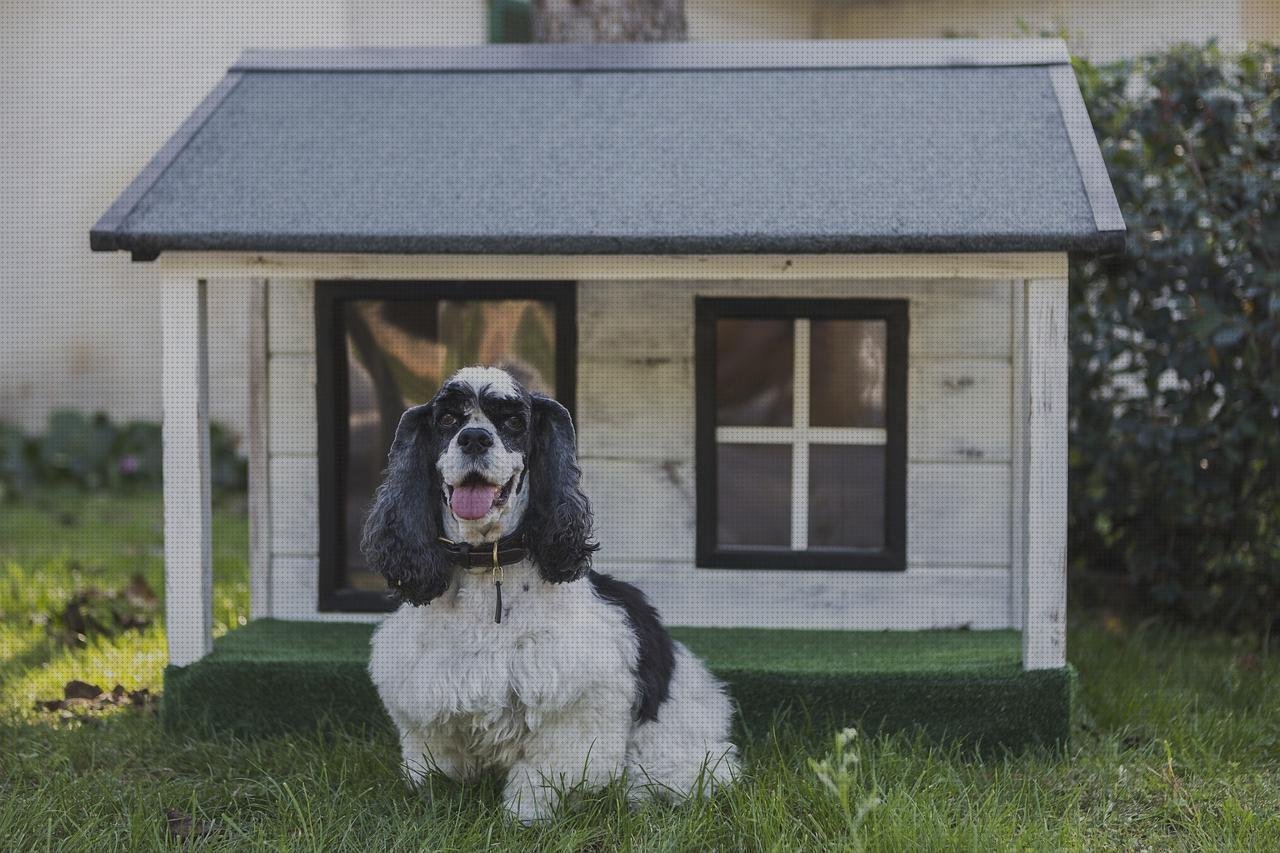 Las mejores caseta jardin plástico bol de silicona mini mat capacidad mini mesa de plástico casetas perro plástico