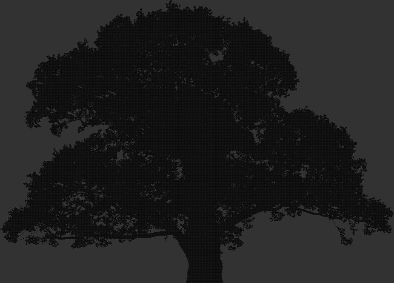 Las mejores plástico metros cenadores pergolas 4 metros fijas policarbonato