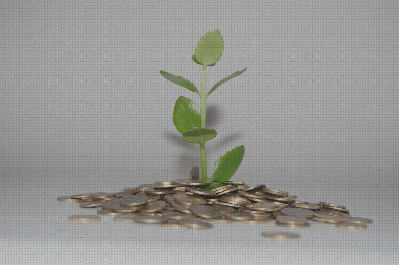 ¿Dónde poder comprar ceniceros plástico tapes de silicona flexibles pack de 12 elastico de silicona cenicero melamina economico?