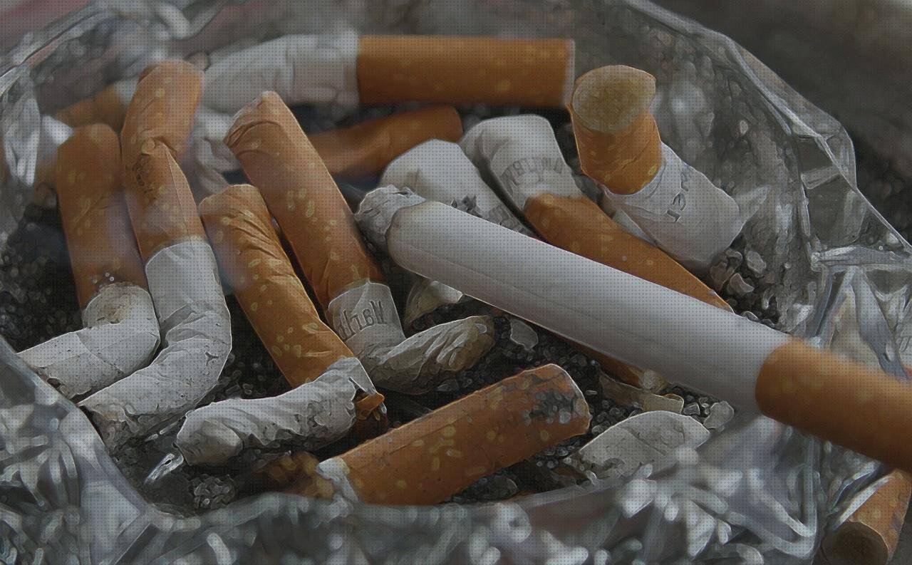 Los 15 Mejores ceniceros melaminas vientos