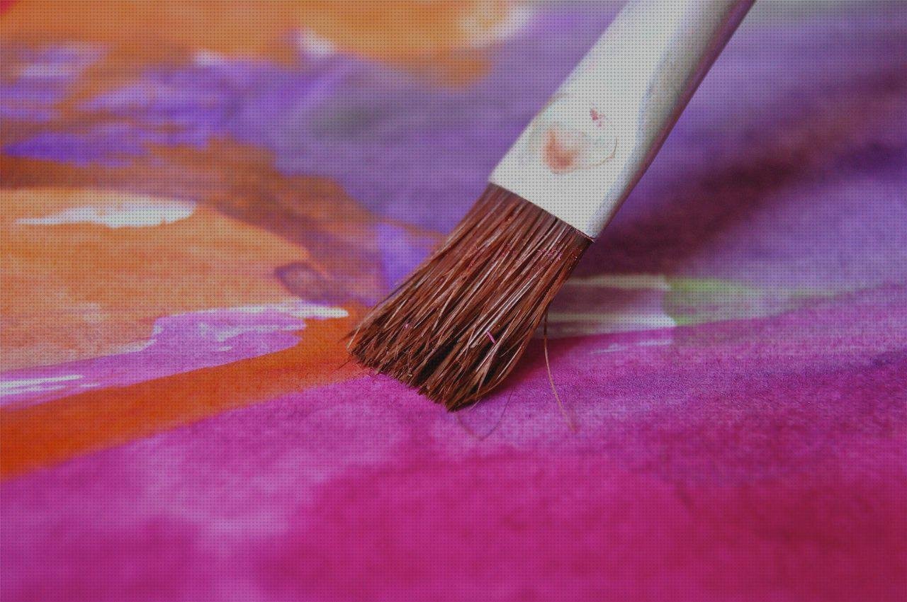 Opiniones de los 8 mejores Cepillos De Plásticos Alimentarios Con Mangos