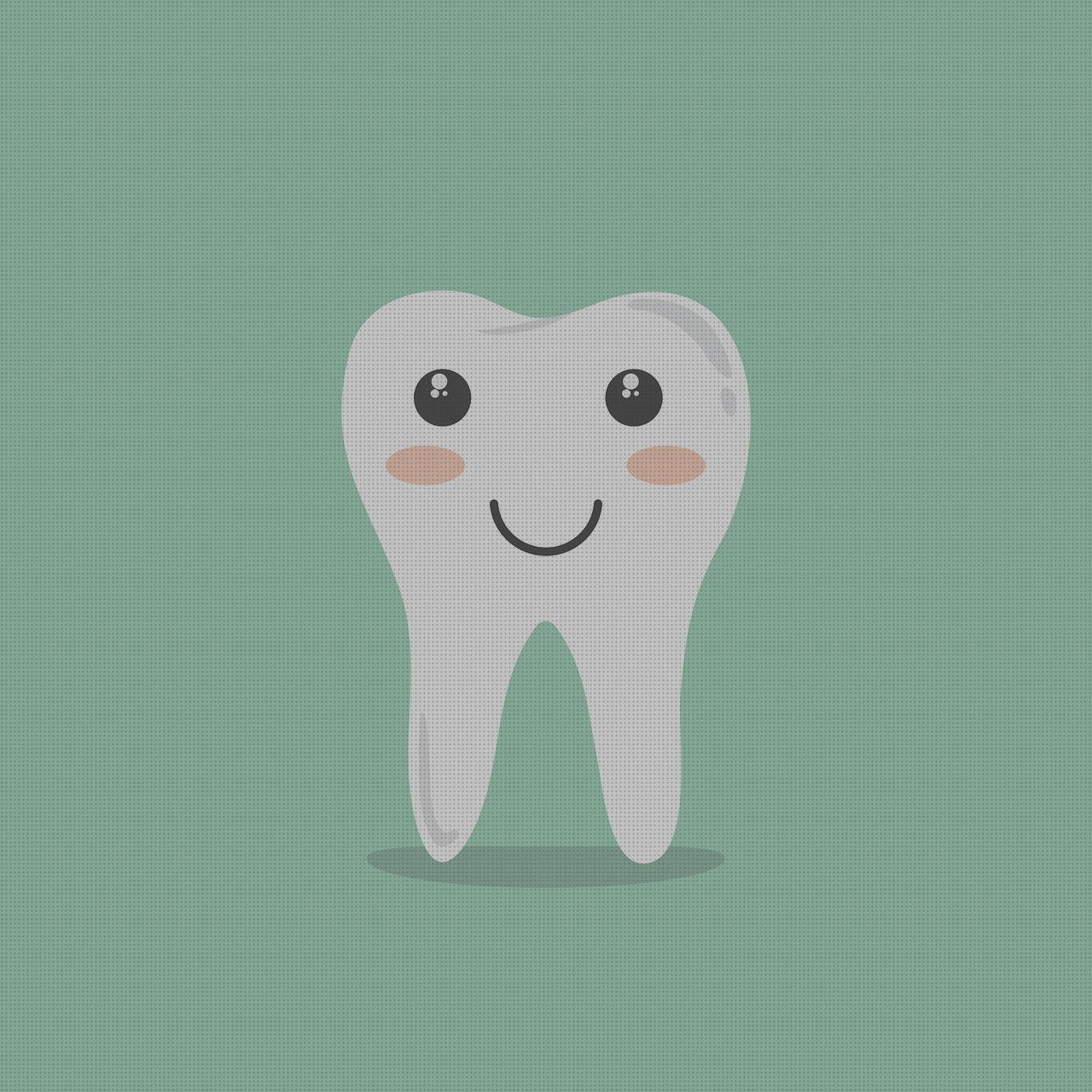 Los 4 Mejores Cepillos De Dientes De Siliconas