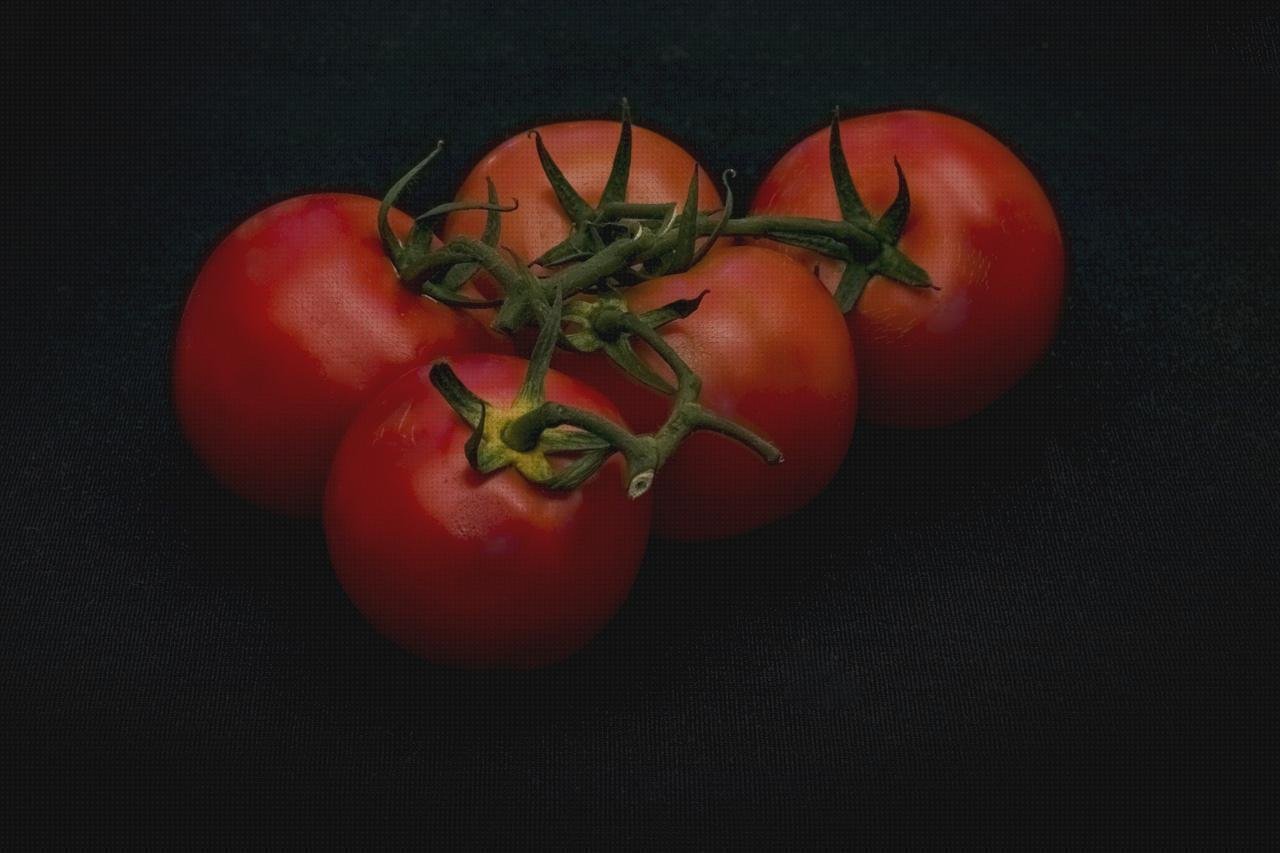 Los mejores 11 Cerchas Metacrilato