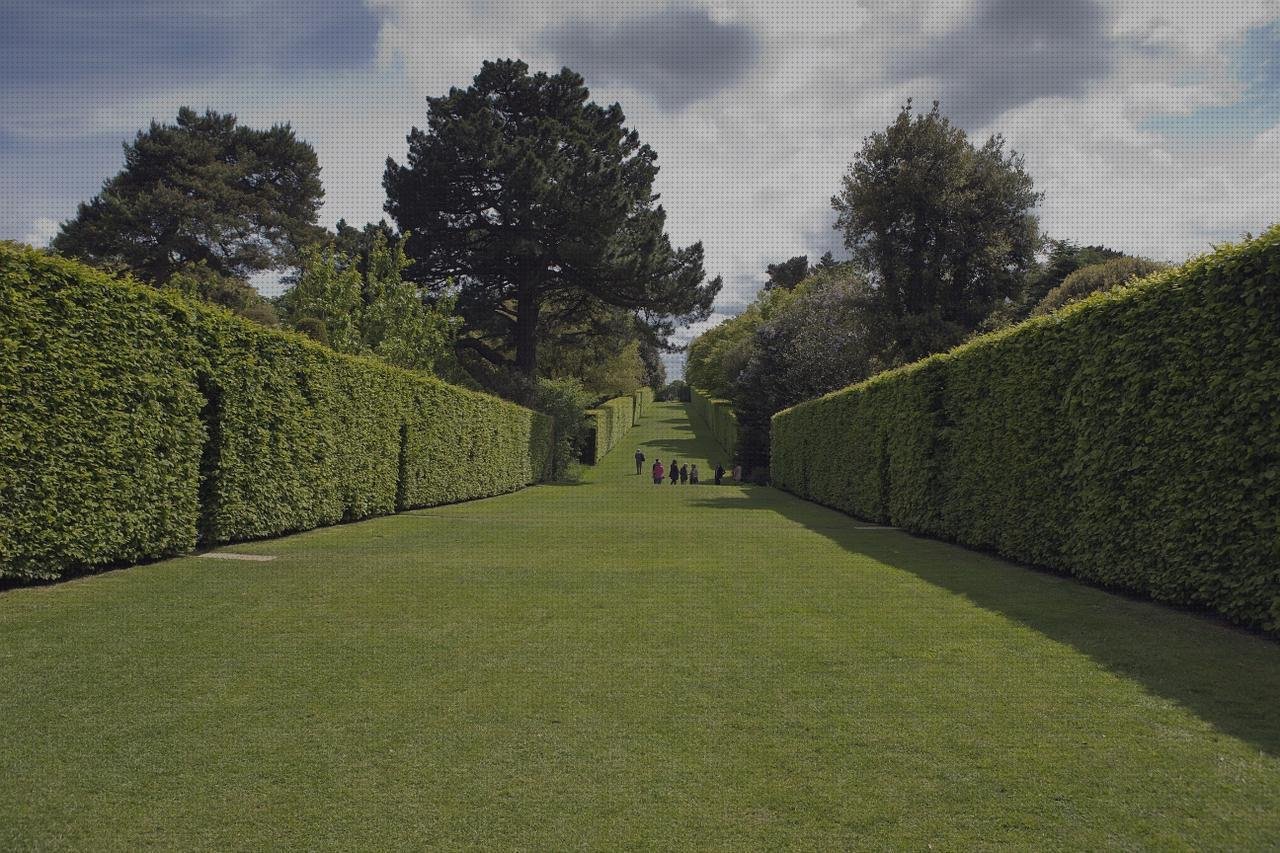 Análisis de los 17 mejores Cerramiento De Policarbonato Sección