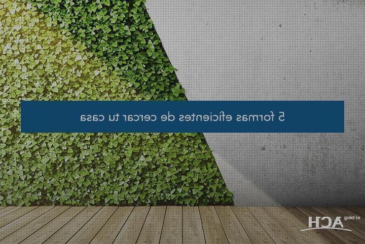 Los mejores 13 Cerramkentos Metacrilato