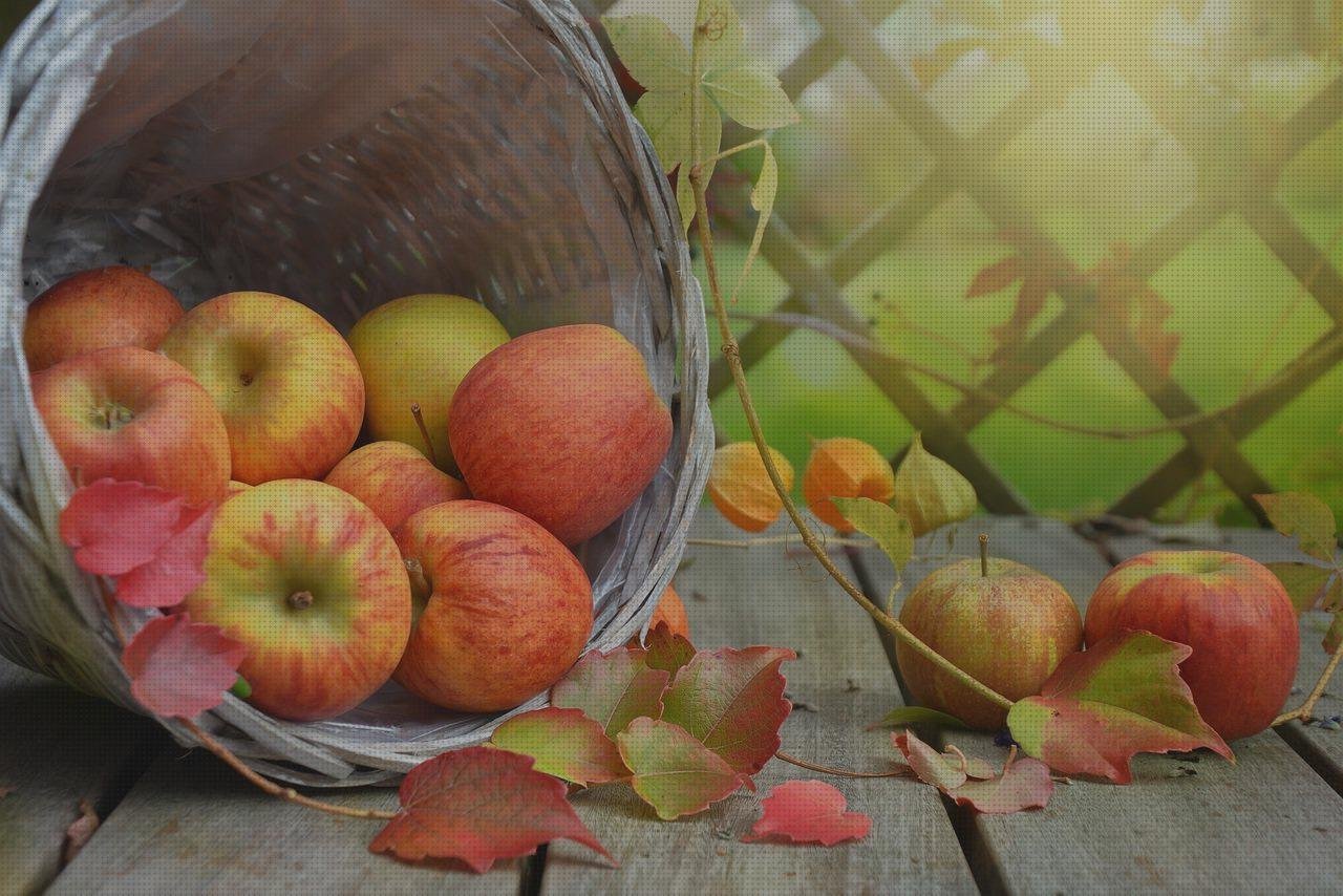 ¿Dónde poder comprar asas de plástico cesta de plástico blando con asas?