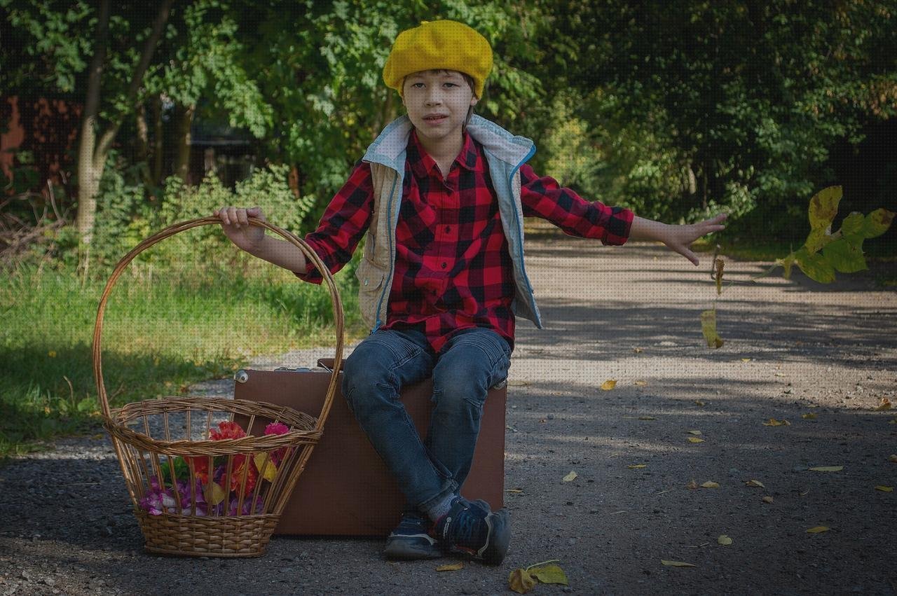 Las mejores flores plástico cesto con flores de plástico