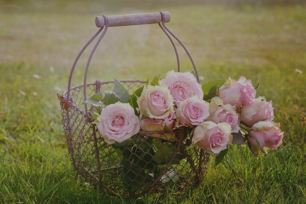 Las mejores marcas de asa plastico cesto de plástico azul con asas