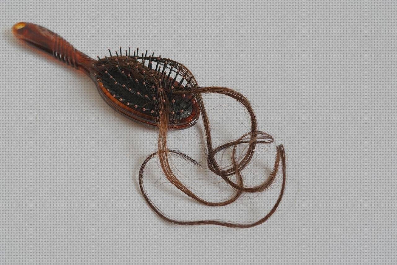 Las mejores marcas de champu sin plástico bastidor de silicona negro bastidores de plastico champu sin de plastico