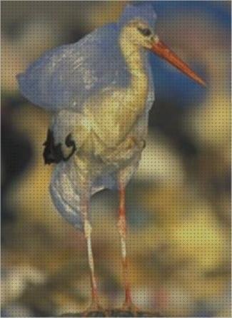 Opiniones de los 8 mejores Cigueña Con Bolsas De Plásticos