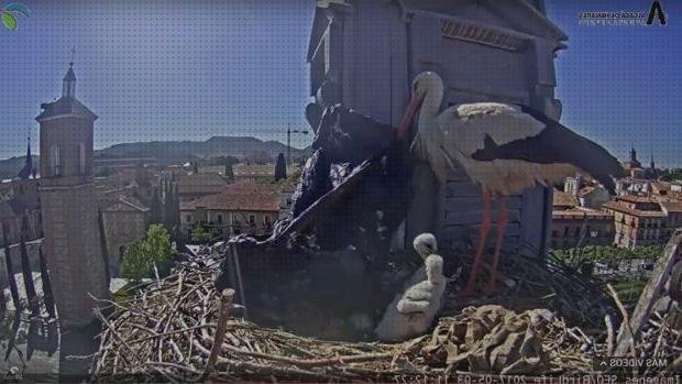 Las mejores marcas de cigueña con plástico frasquitos de plástico con tapa frasquitos plástico 20 cigueña con bolsa de plástico