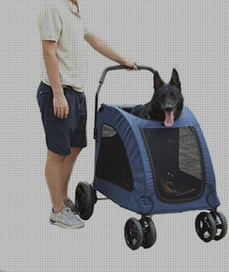 Review de claraboya de plástico para niños heridos