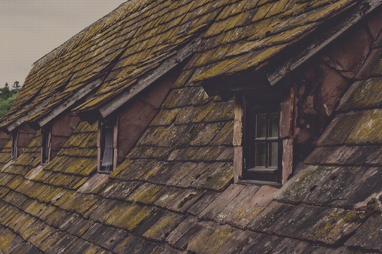 Las mejores claraboya de plástico fachadas ventiladas de policarbonato fachada policarbonato claraboyas policarbonato ovaladas