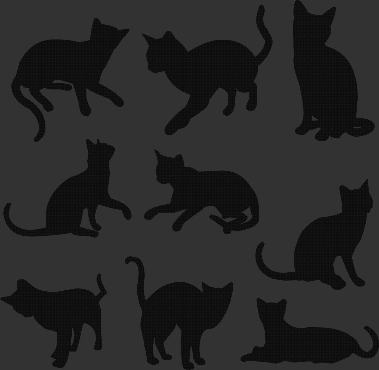 Las mejores marcas de sujeción metacrilato perchero metacrilato estructura metacrilato clips sujecion metacrilato