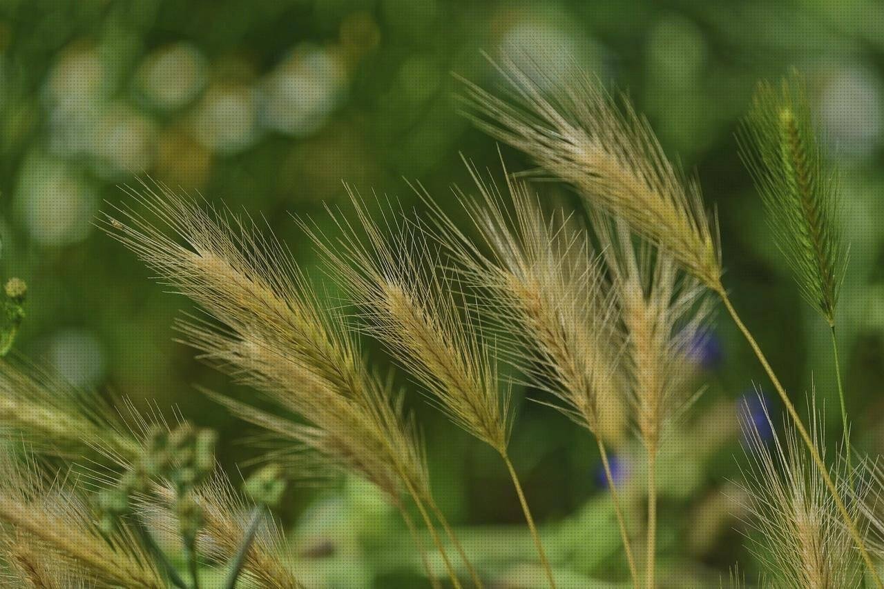 ¿Dónde poder comprar nalgas silicona cubrecanto melamina negro cubrecanto de plástico flexible cola melamina corcho?