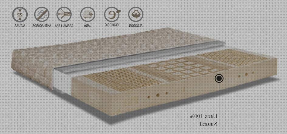 ¿Dónde poder comprar pistola silicona caliente 100 w Más sobre gavetero de plástico Más sobre gavetero de plástico colchon látex 100 natural?