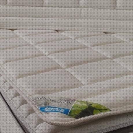 Las mejores marcas de colchoneta plástico Más sobre funda s10 silicona Más sobre colmenas de plástico colchoneta látex