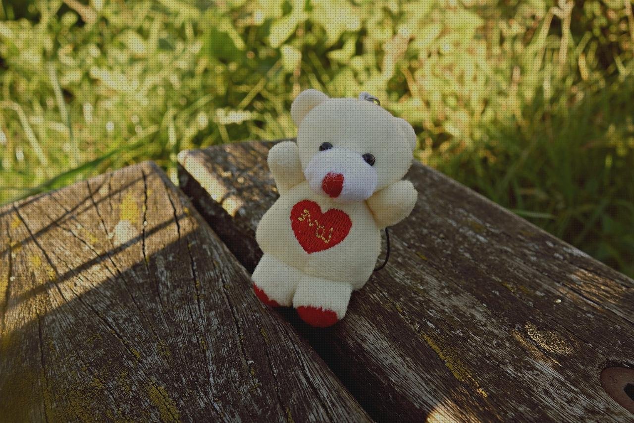 Opiniones de los 12 mejores Colgadores De Cutter De Plásticos