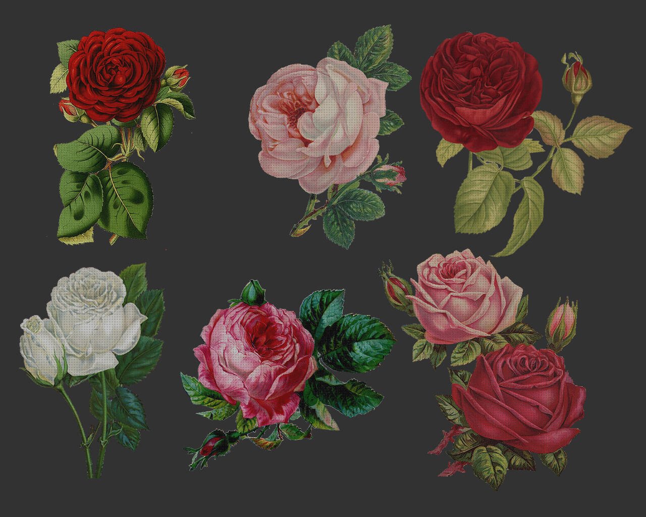 TOP 20 collages plastica a la venta