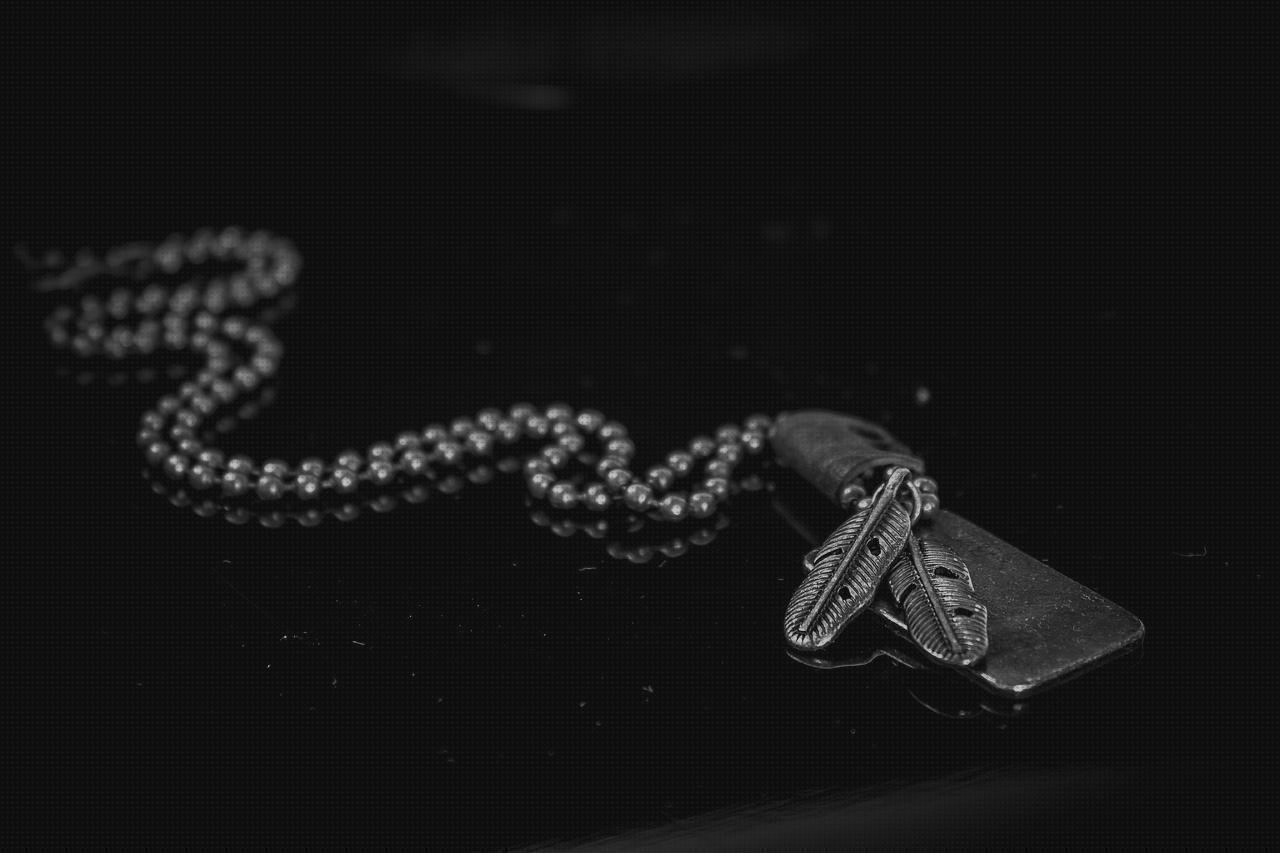 Review de collar de identificación de plástico